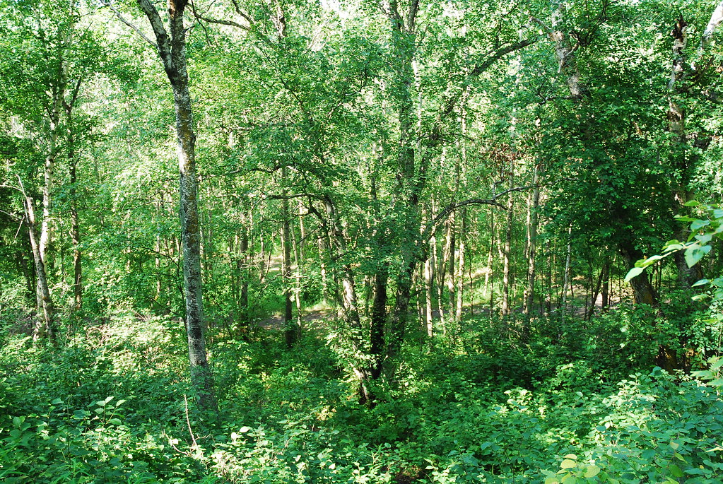 Elevation of Millet, AB T0C, Canada Topographic Map Altitude Map