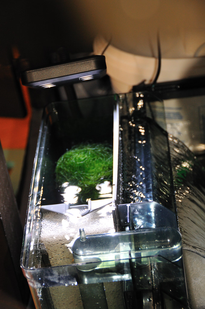 Aquaclear HOB filter hacks WaFishBox