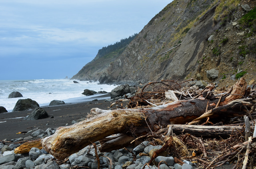 Shady Dell Mendocino County, California Around Guides