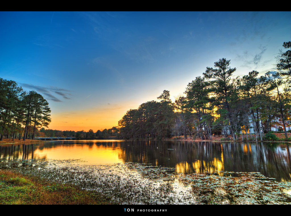 Elevation of Columbia, SC, USA Topographic Map Altitude Map