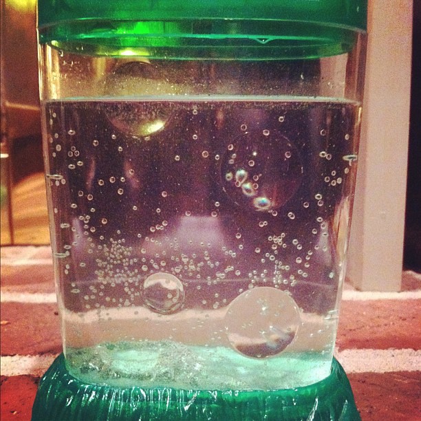 What Color Are Sea Monkey Eggs