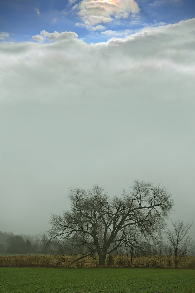 Elevation of New Florence, MO, USA Topographic Map Altitude Map