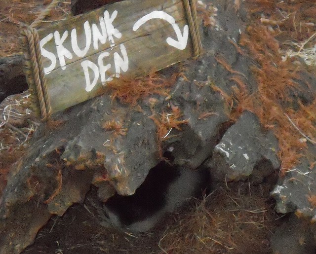 The Skunk Den at Tampa Zoo Flickr Photo Sharing!