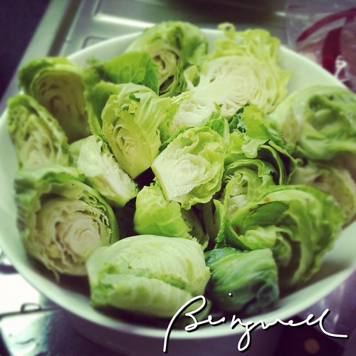 Cooking Baby Cabbage and Pork Quick And Easy Recipes