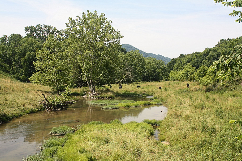 Elevation of Nickelsville, VA, USA Topographic Map Altitude Map