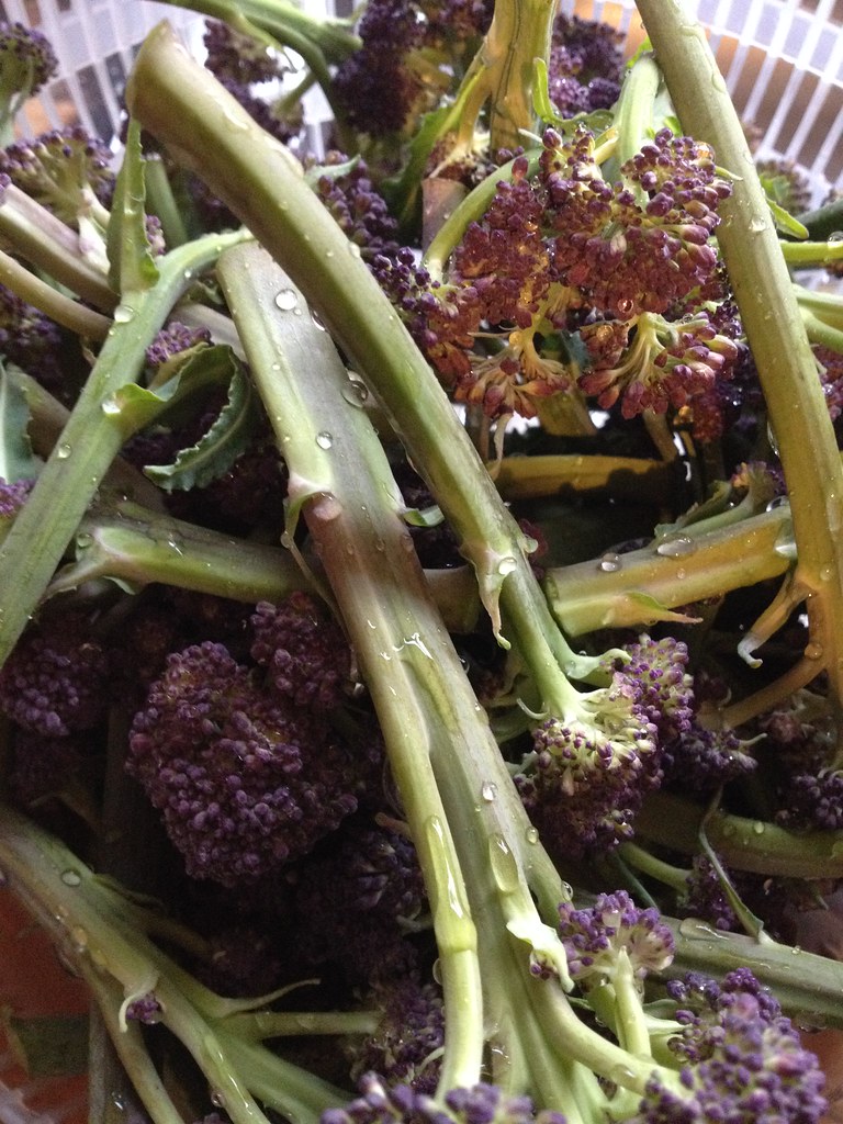Roasted Purple Sprouting Broccoli with Parmesan and Garlic