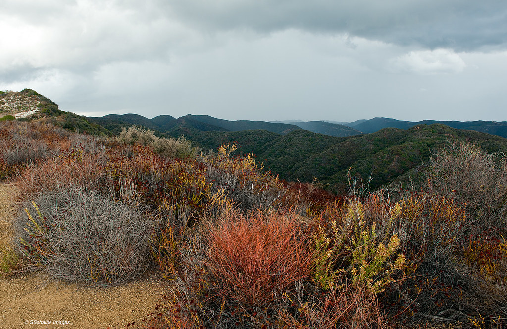 Elevation of West Hills, Los Angeles, CA, USA Topographic Map