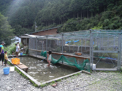 新鮮な塩焼きがいただける『洞川川魚センター』＠天川村 (by 奈良に住んでみました)