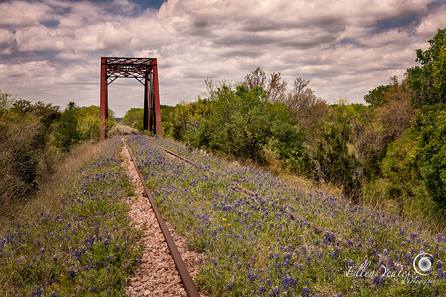 Elevation of Kingsland, TX, USA Topographic Map Altitude Map