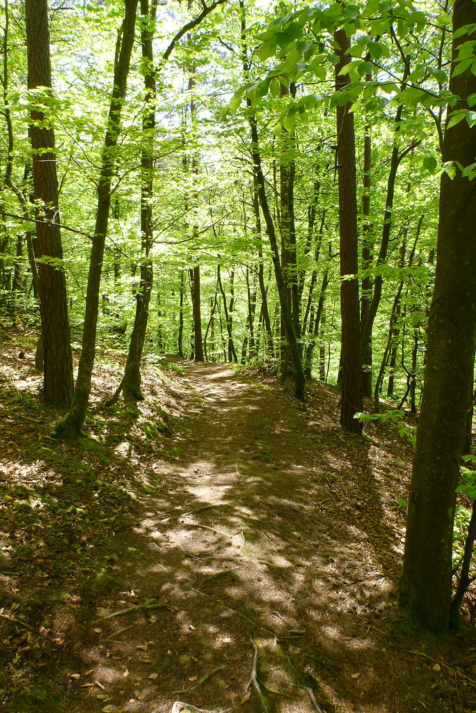 WINGENSURMODER Carte plan hotel village de WingensurModer 67290