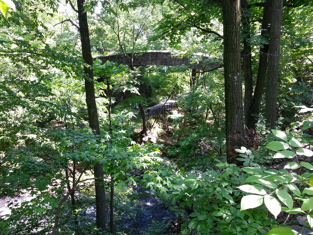 Hester Bridge I'm Just Walkin'