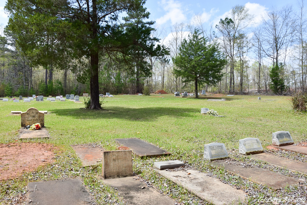 Elevation of Asbury Rd, Grove Hill, AL, USA Topographic Map