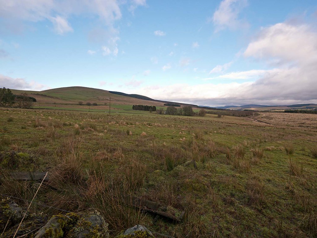 Elevation of Station House, Newcastleton TD9 0SQ, UK Topographic Map