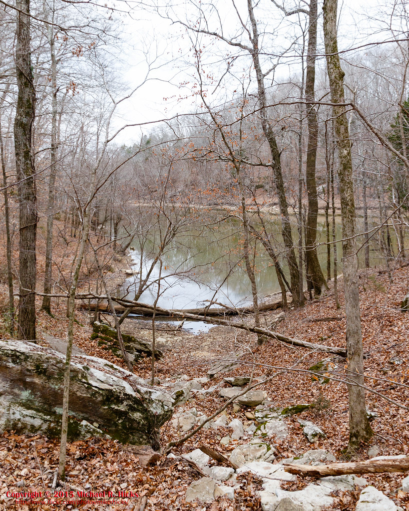 Elevation of Sugar Tree, TN, USA Topographic Map Altitude Map