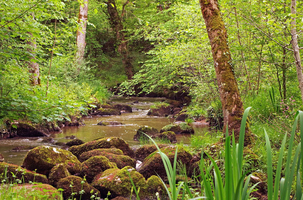 PHOTO SAINTSULPICELESFEUILLES Photos Images SaintSulpiceles