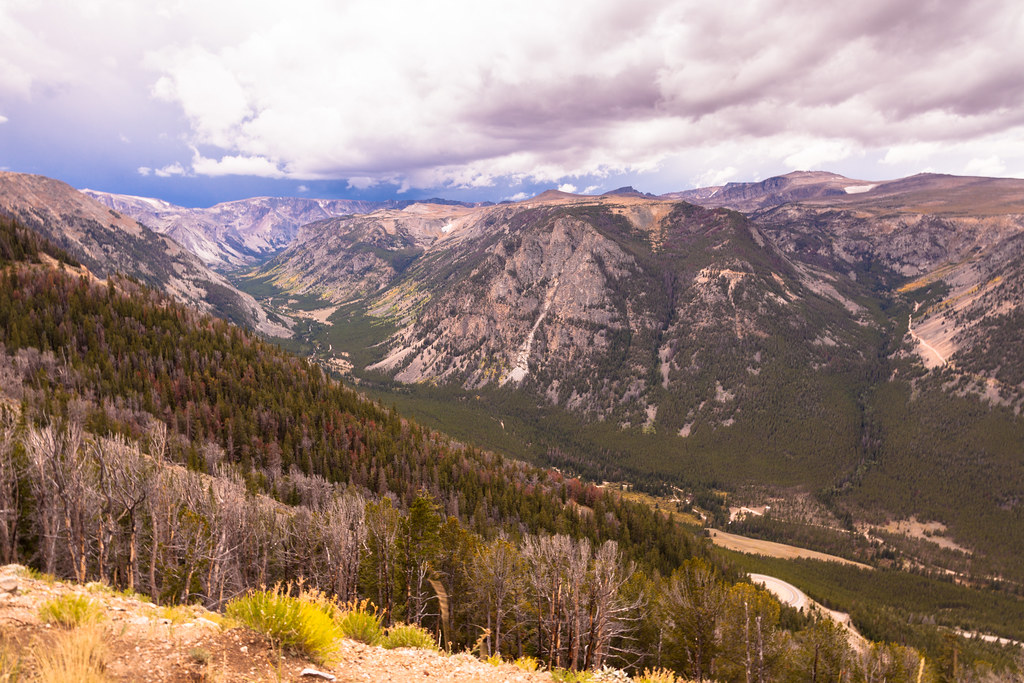 Elevation of Bull Moose Ln, Red Lodge, MT, USA Topographic Map