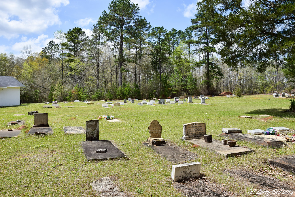 Elevation of Gainestown, AL, USA Topographic Map Altitude Map