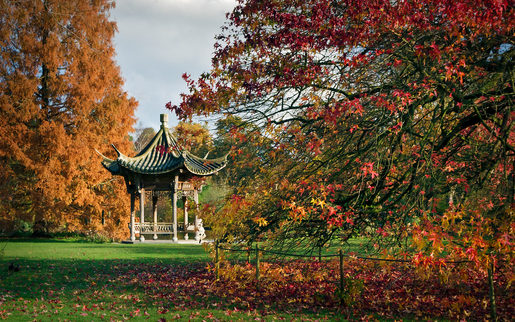 Find Local Garden Centres Surrey 40 Fall In Love With DESIGN