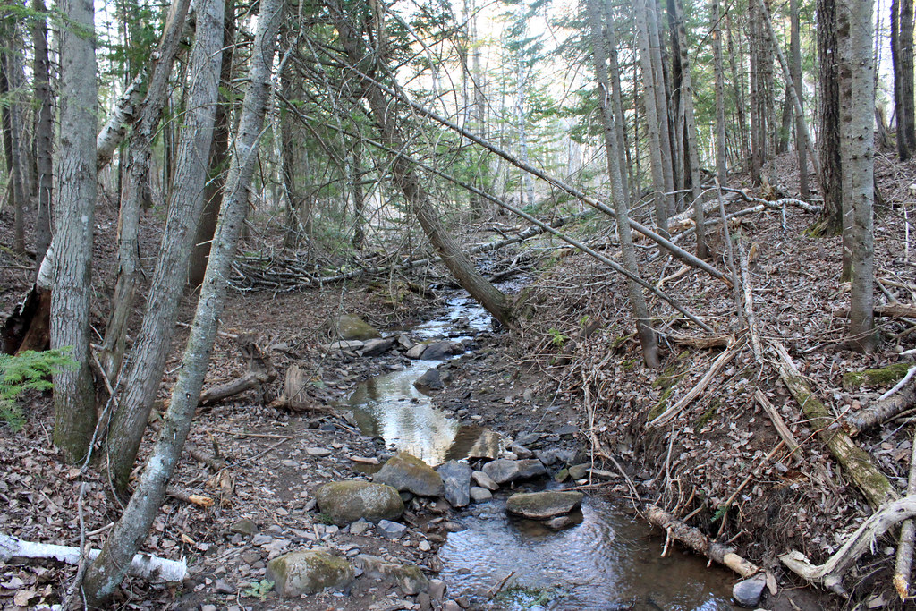 Elevation of Victoria Rd, Moncton, NB E1G 3L4, Canada Topographic Map