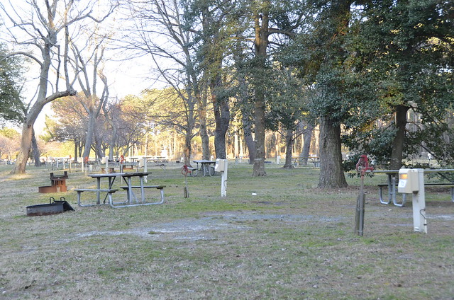 Virginia State Parks Happy Campers at Kiptopeke State Park