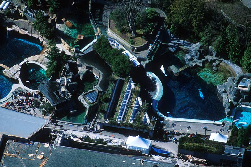Vancouver Aquarium British Columbia Travel and Adventure Vacations