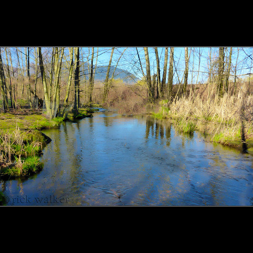 Elevation of Chilliwack, BC, Canada Topographic Map Altitude Map