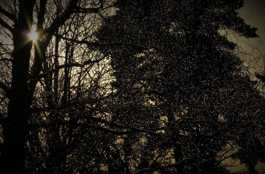 Elevation of Woodside Drive, Woodside Dr, Forres IV36, UK Topographic Map Altitude Map