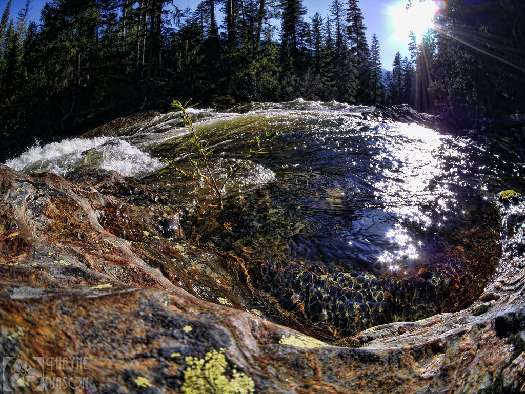 Chatter Creek Campground Washington Around Guides