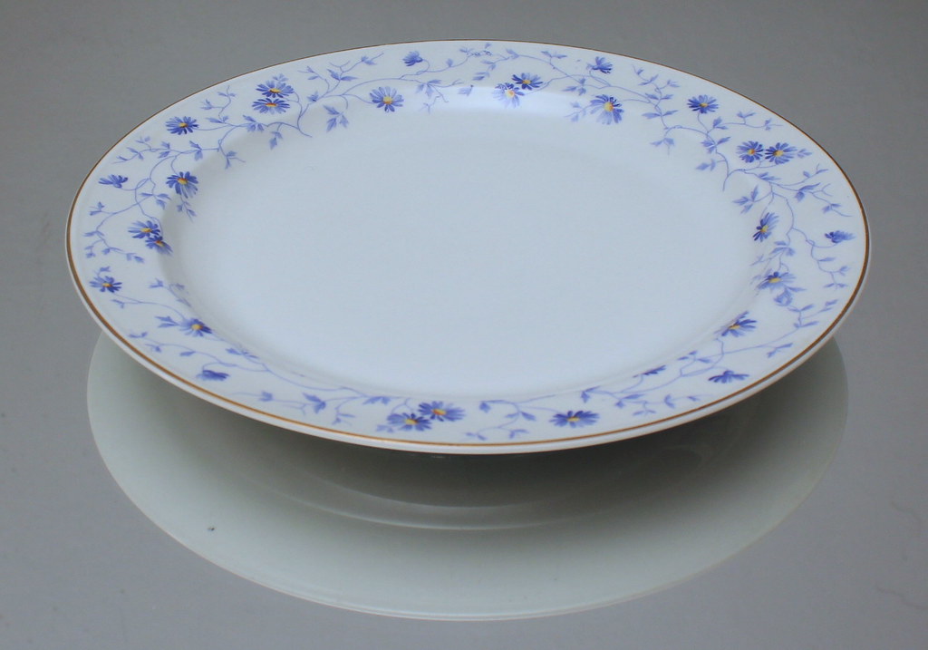 Altes Arzberg 6 Speiseteller Blaublüte Form 1495 Gretsch Teller