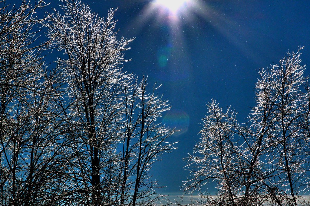 River Drive Park Map Ontario Mapcarta