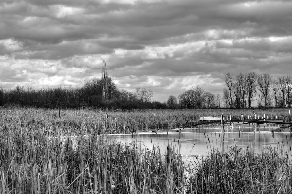 Elevation of E Manitou Rd, Rochester, NY, USA Topographic Map