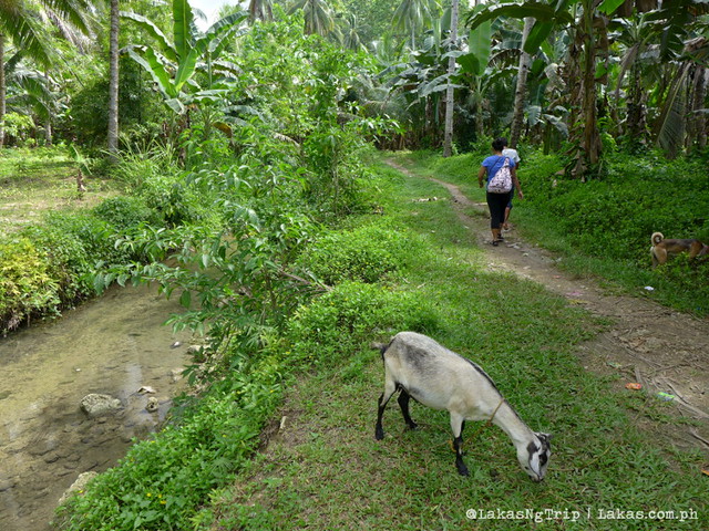 Dalipuga Falls in Iligan City, Philippines Lakas ng Trip