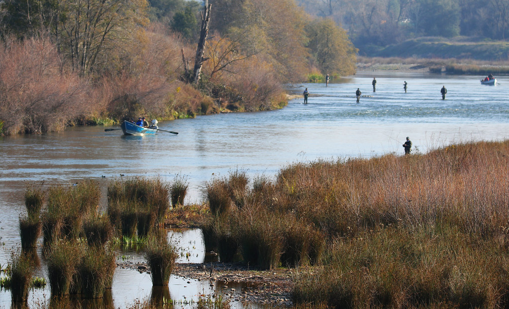 Gold River Map Sacramento County, California Mapcarta