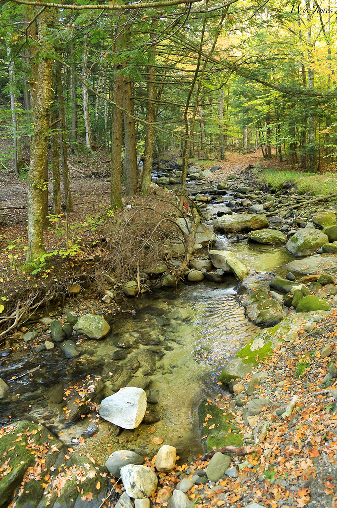 Elevation of Marlboro, VT, USA Topographic Map Altitude Map