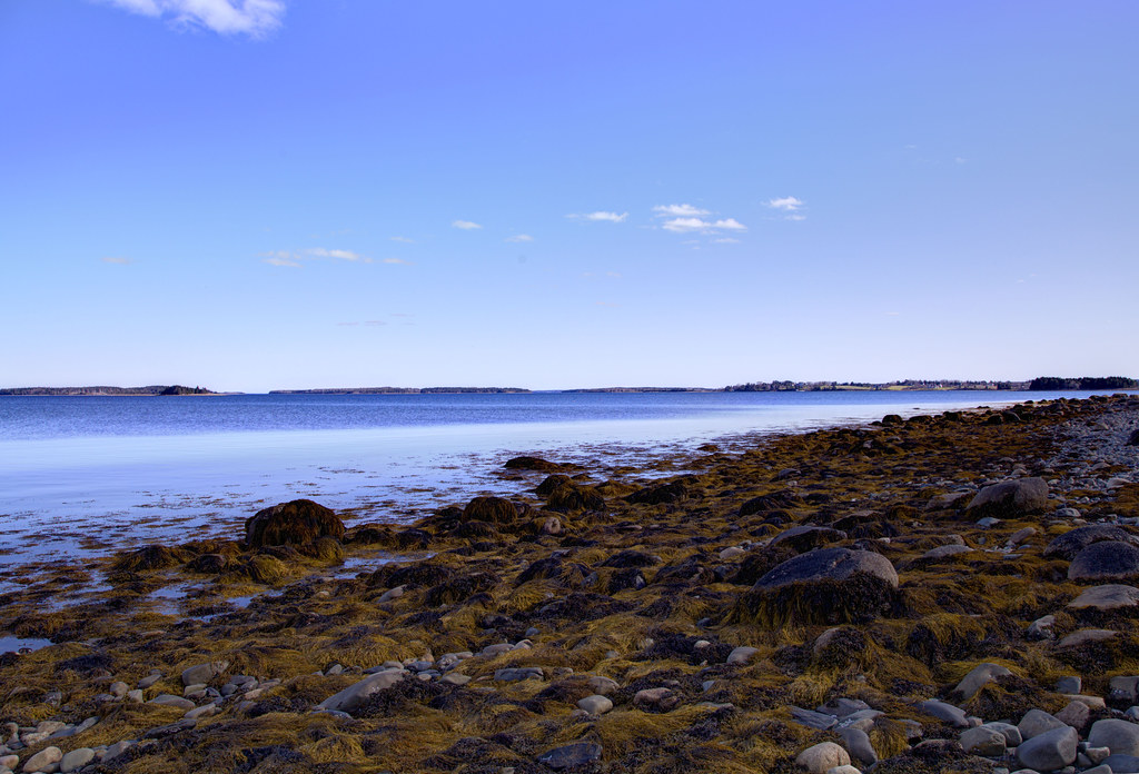 Elevation of Chester Basin, NS B0J, Canada Topographic Map Altitude Map