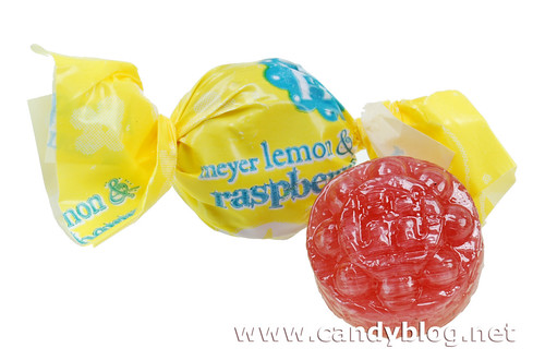 Torie & Howard Meyer Lemon & Raspberry Candy Blog