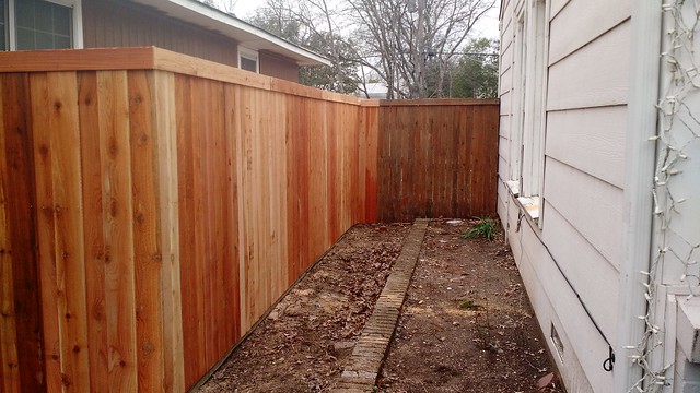 Flickr Tim the Tatman