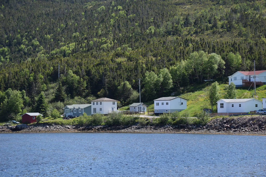 St. Bernard'sJacques Fontaine Southern Newfoundland Around Guides