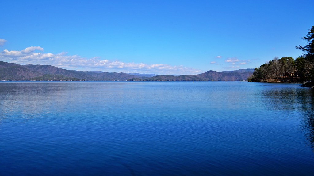 Elevation of Azalea Dr, Tamassee, SC, USA Topographic Map Altitude Map