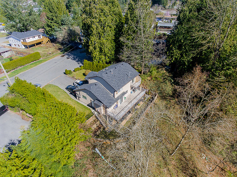 7699 ROOK CRESCENT BY Mindy Mcpherson ONIKON Creative Inc gallery