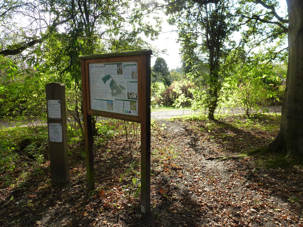 The Warren Explore Kent