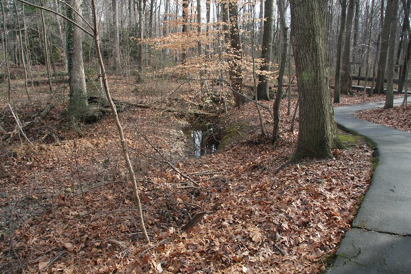 Anticipated Impact Truro Homes Association