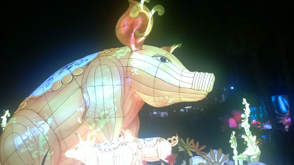 Photos from Vivid Sydney Blog of Much Holding