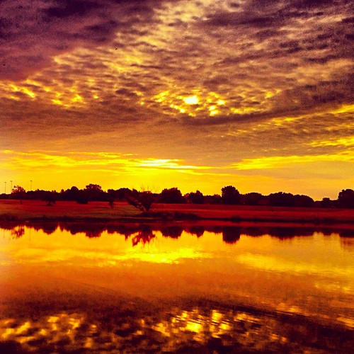 Elevation of Plainview Rd, Krum, TX, USA Topographic Map Altitude Map