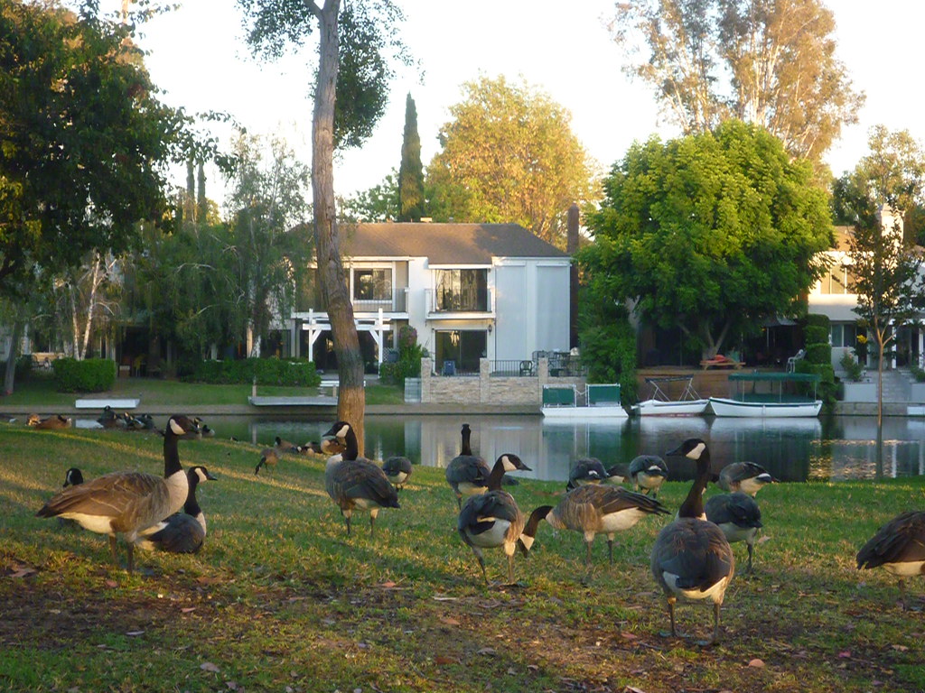 Laguna Woods Laguna Woods Hotels