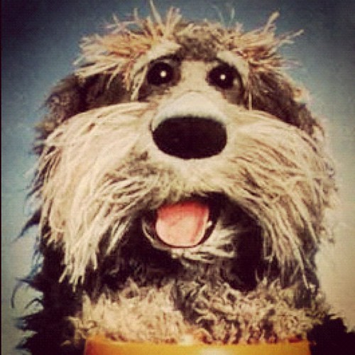 Found my dogs puppet equivalent sprocket fragglerock by TINDEL ART