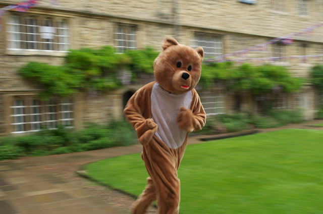 Running in a bear costume Flickr Photo Sharing!