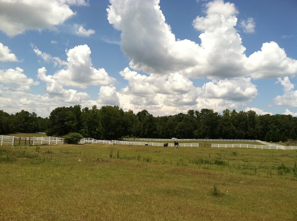 Elevation of Sand Hill Rd, Auburn, AL, USA Topographic Map Altitude Map