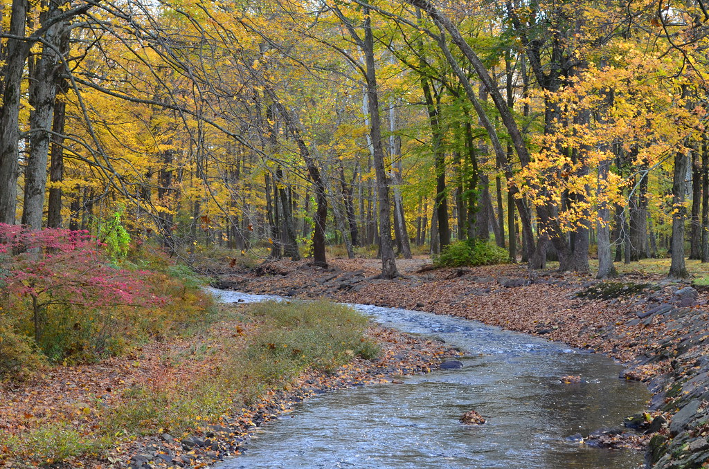 Ravine Lake Map Somerset County, New Jersey Mapcarta