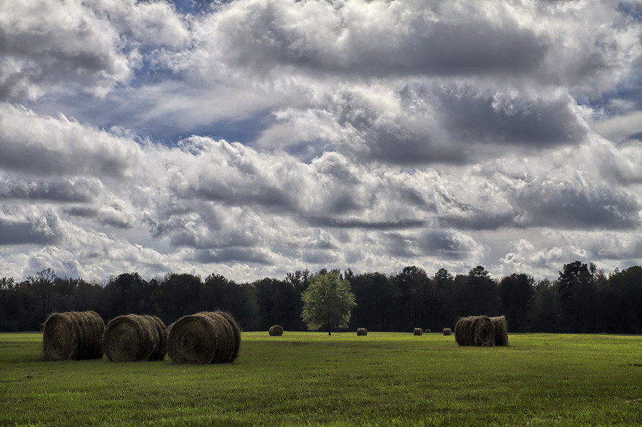 Elevation of Donaldson, AR, USA Topographic Map Altitude Map
